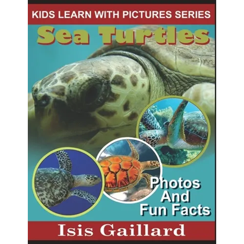 Sea Turtles: Photos and Fun Facts for Kids
