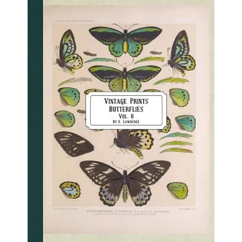 Vintage Prints: Butterflies: Vol. 3
