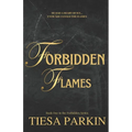 Forbidden Flames: A brother's best friend billionaire romance