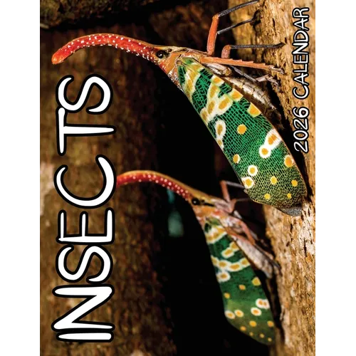 Insects 2026 Calendar