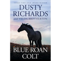 Blue Roan Colt