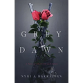 Grey Dawn: A Tale of Abolition and Union