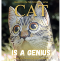 Cat is a Genius: A Children's Picture Book about a Boastful Know-It-All