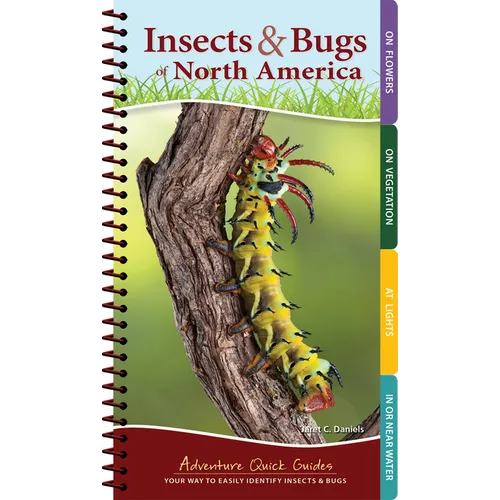 Insects & Bugs of North America: Your Way to Easily Identify Insects & Bugs
