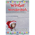 Winter Wonderdach