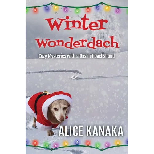 Winter Wonderdach