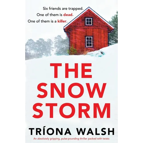 The Snowstorm: An absolutely gripping, pulse-pounding thriller packed with twists