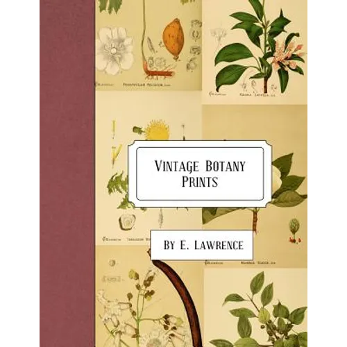 Vintage Botany Prints