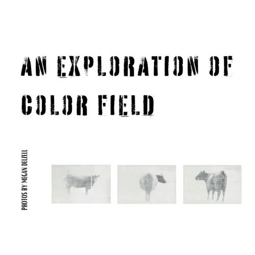 An Exploration In Color Field