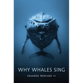Why Whales Sing