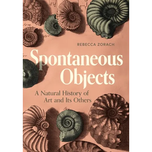 Spontaneous Objects: A Natural History of Art and Its Others