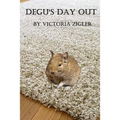 Degu's Day Out