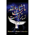 Mashallah Bohot Zabardast: Vol. 1