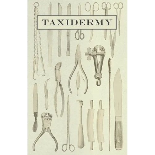 Taxidermy