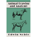 Animal Drawing and Anatomy