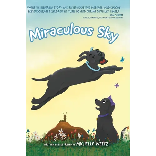 Miraculous Sky