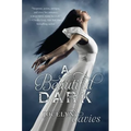A Beautiful Dark