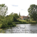 By the Pond