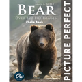 Bear: Picture Perfect Photo Book: Over 100 HD Images