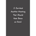 I Survived Another Meeting That Should Have Been An Email: Funny Office Gifts For Coworker