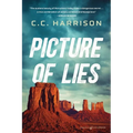 Picture of Lies