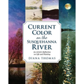 Current Color on the Susquehanna River: An Artist's Reflection on Life and Painting