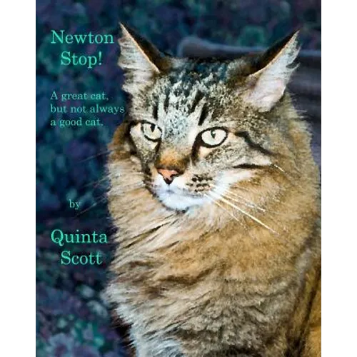 Newton Stop!