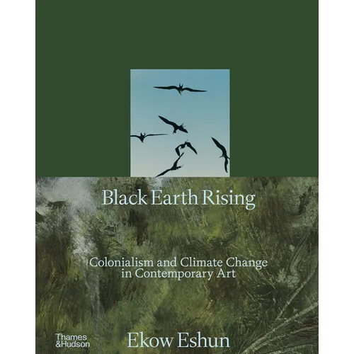 Black Earth Rising: Colonialism and Climate Change in Contemporary Art