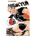 Haikyu!!, Vol. 30: Broken Heart