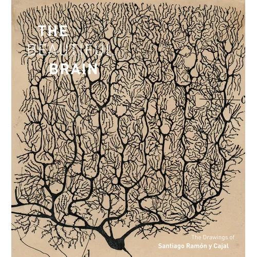 The Beautiful Brain: The Drawings of Santiago Ramon Y Cajal
