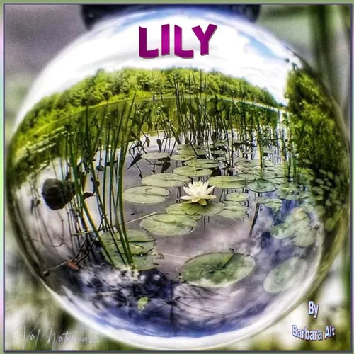 Lily
