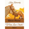 Ghost Horse at Oak Lane Stable