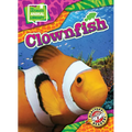 Clownfish