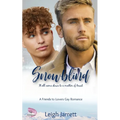 Snowblind: A Friends to Lovers Gay Romance