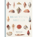 Beautiful Shells: George Perry's Conchology