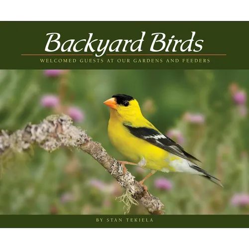 Backyard Birds: Welcomed Guests at Our Gardens and Feeders