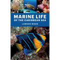 Marine Life of the Caribbean Sea