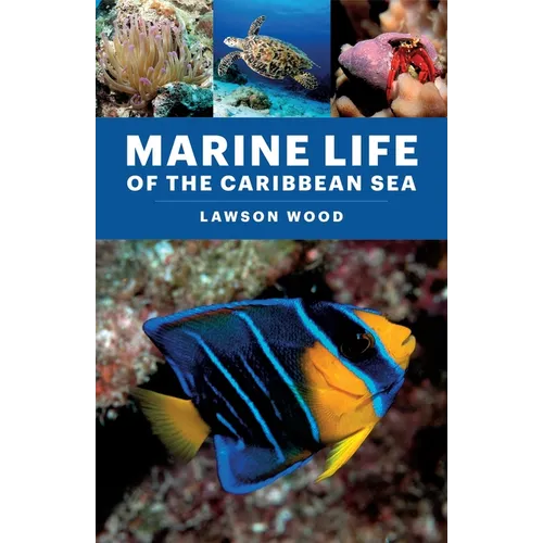 Marine Life of the Caribbean Sea