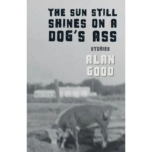 The Sun Still Shines on a Dog's Ass