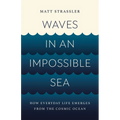Waves in an Impossible Sea: How Everyday Life Emerges from the Cosmic Ocean