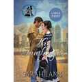 The Gunslinger (Large Print)