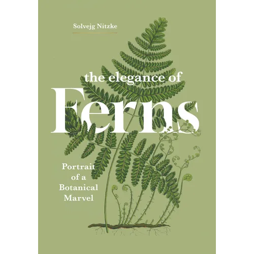 The Elegance of Ferns: Portrait of a Botanical Marvel