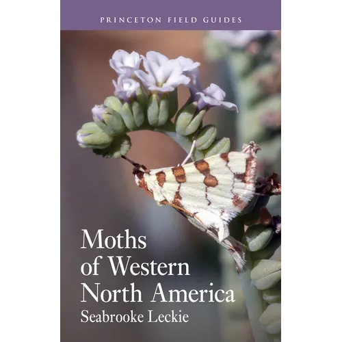 Moths of Western North America