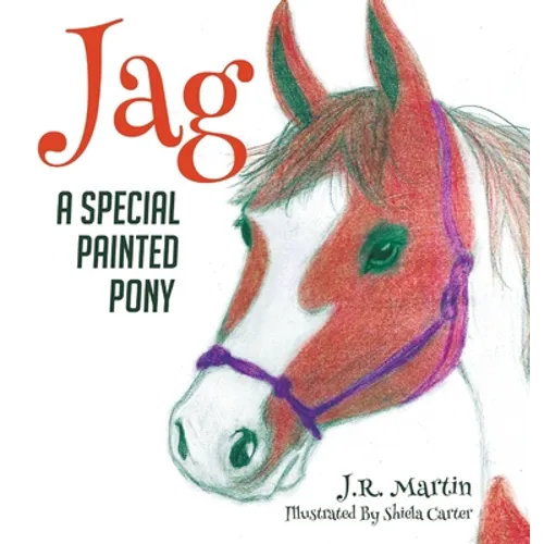 Jag: A Special Painted Pony
