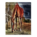 Magical Horses Colouring-In: Horse coloring book featuring natural Horses