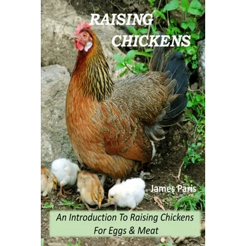 Raising Chickens - An Introduction To Raising Chickens For Eggs & Meat