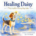 Healing Daisy: Tiny Lights Doing Big Jobs