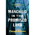 Manchild in the Promised Land