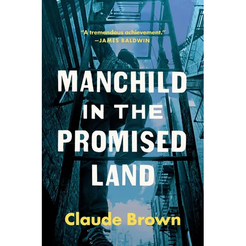 Manchild in the Promised Land
