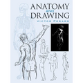 Anatomy and Drawing